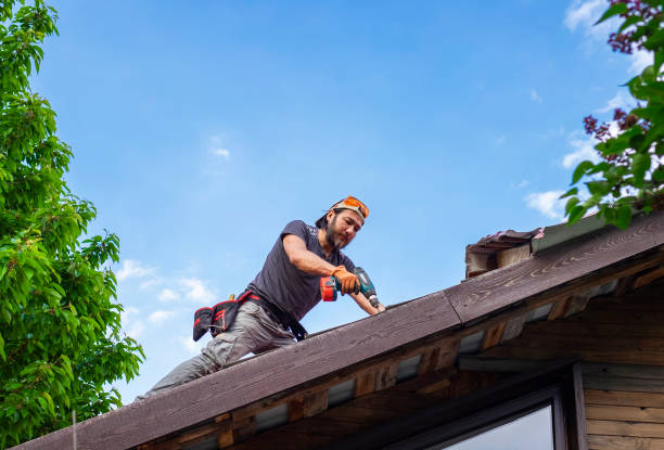 Best Roof Ventilation Installation  in Prospect Rk, PA