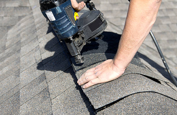 Best Roof Maintenance and Cleaning  in Prospect Rk, PA