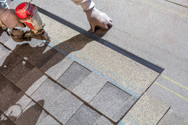 Best Roof Insulation Installation  in Prospect Rk, PA